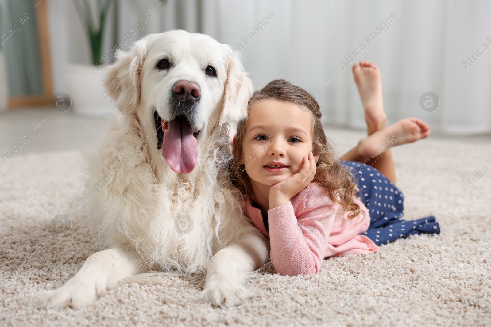 Photo of Little girl with cute dog on carpet at home