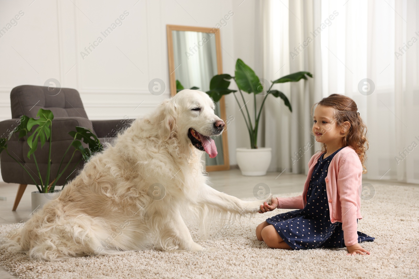 Photo of Little girl with cute dog on carpet at home