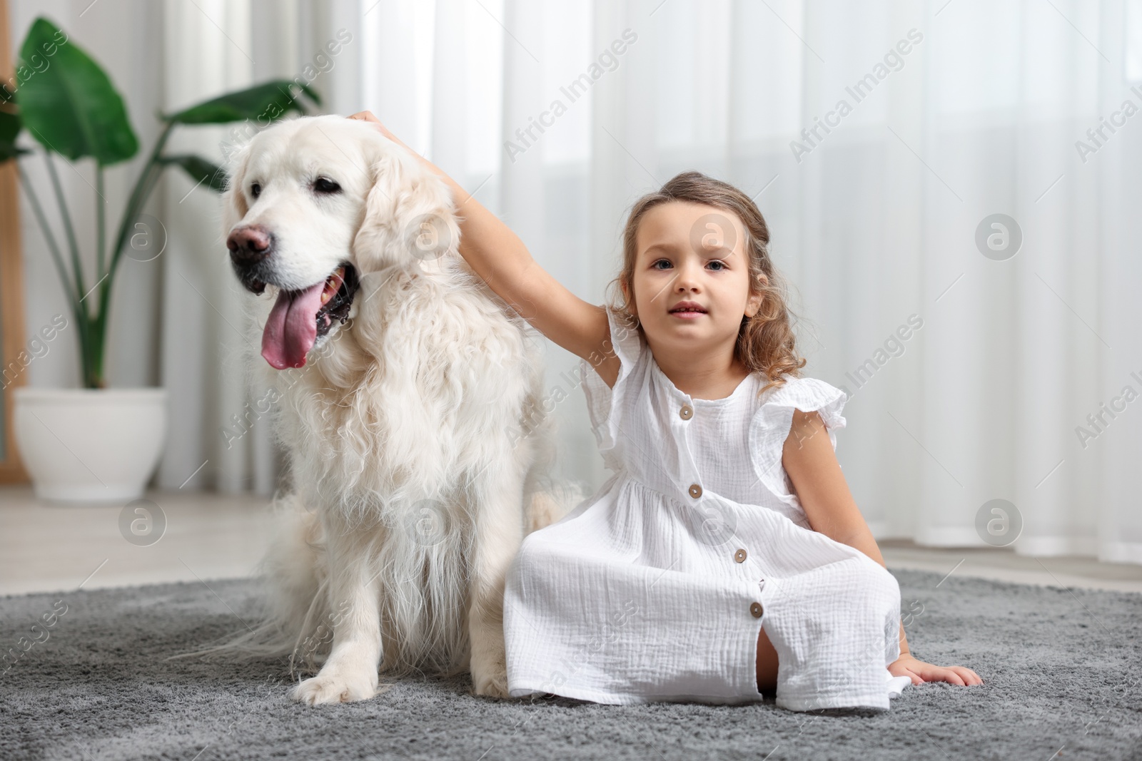 Photo of Little girl with cute dog on carpet at home