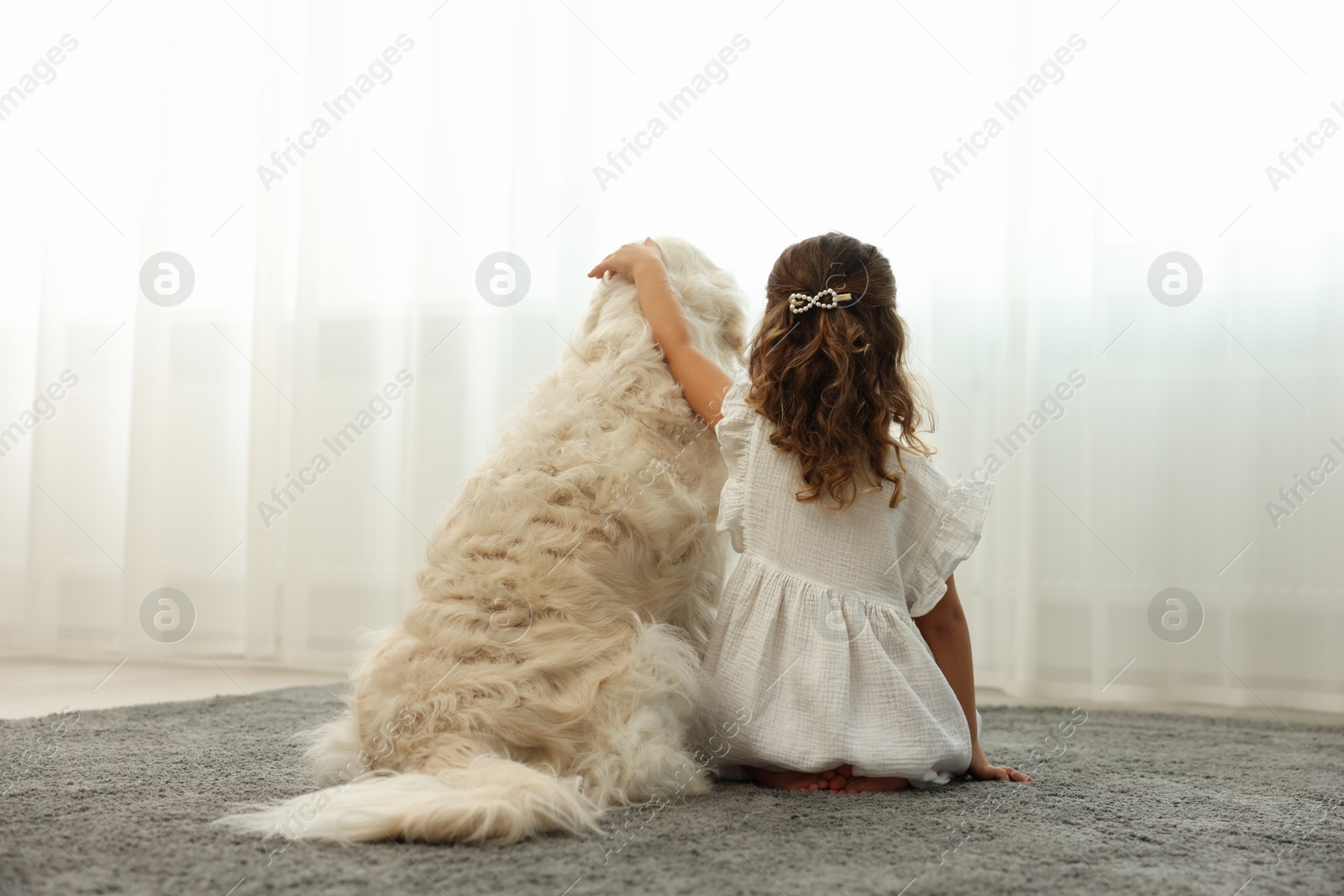 Photo of Little girl with cute dog on carpet at home, back view