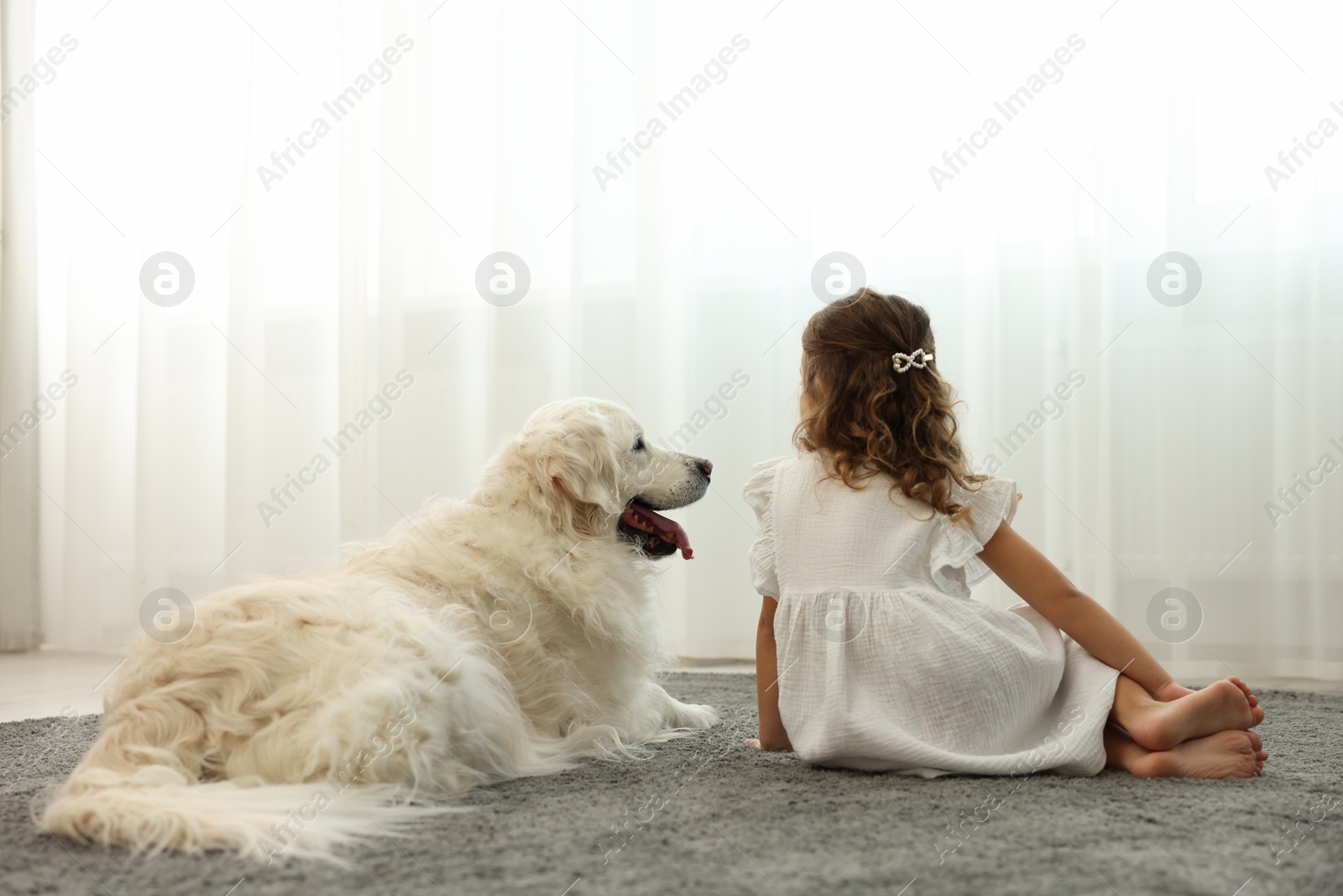 Photo of Little girl with cute dog on carpet at home, back view