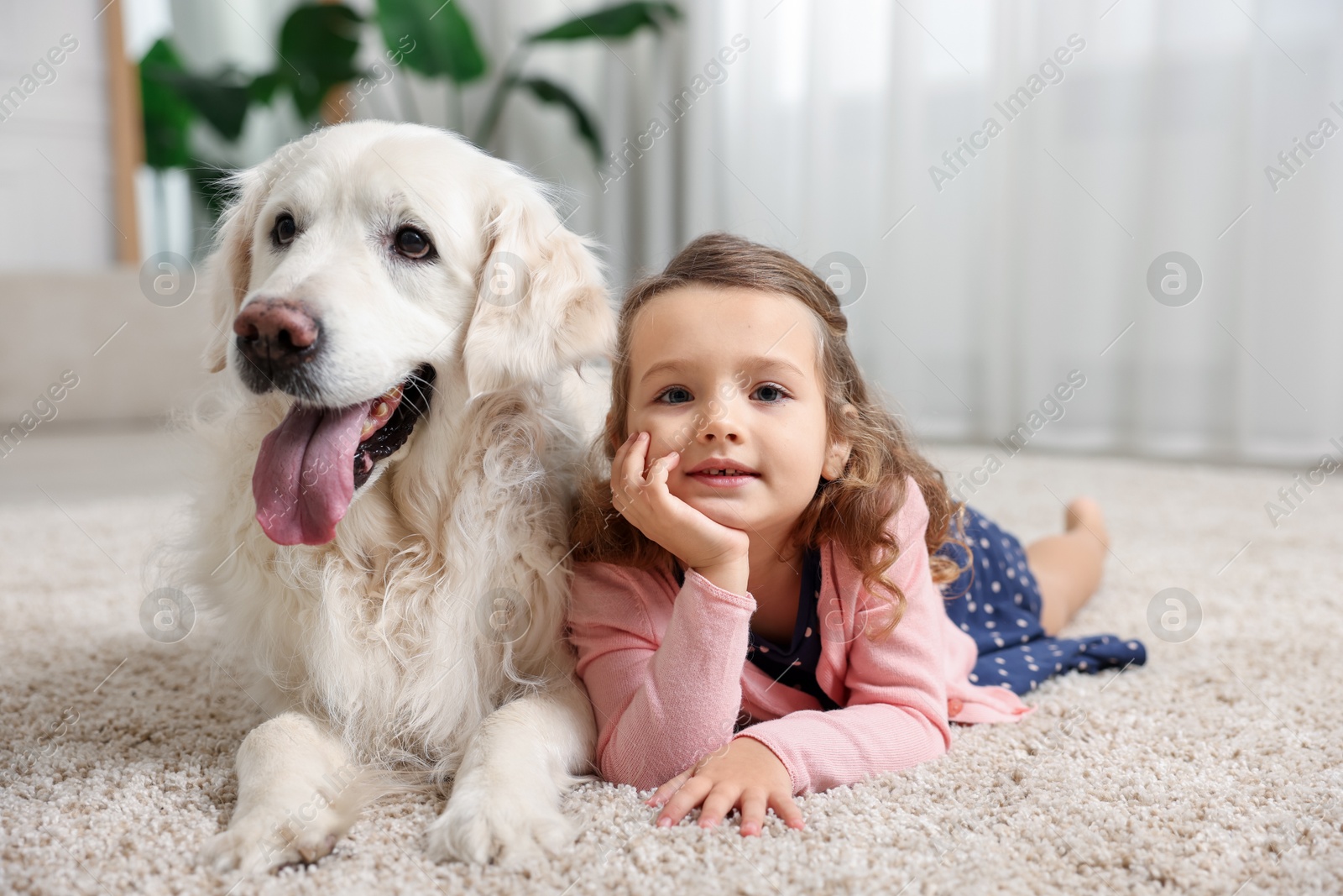 Photo of Little girl with cute dog on carpet at home