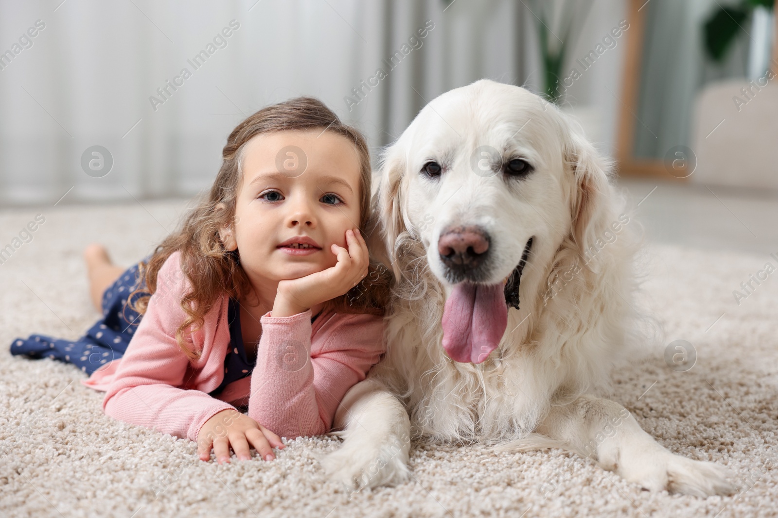 Photo of Little girl with cute dog on carpet at home