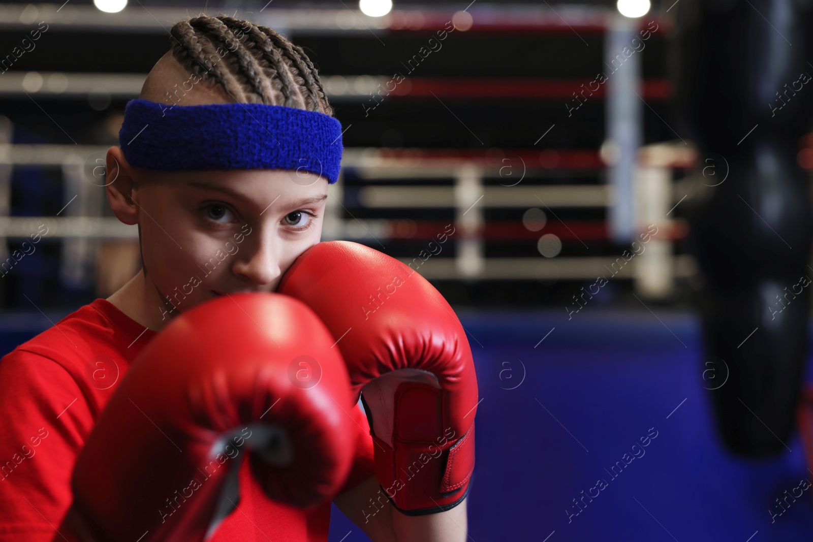 Photo of Boxing. Boy in protective gloves at training center. Space for text