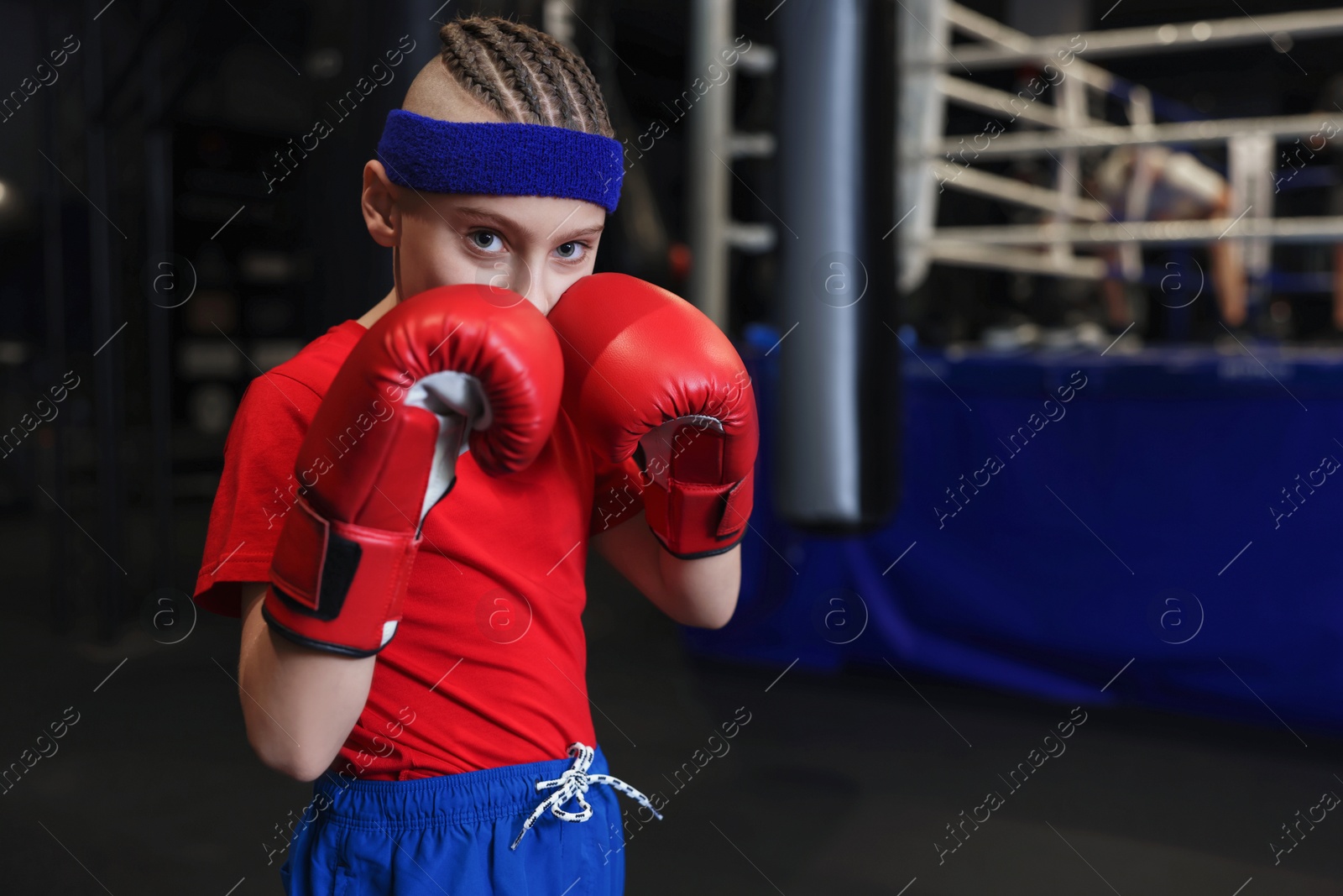 Photo of Boxing. Boy in protective gloves at training center. Space for text