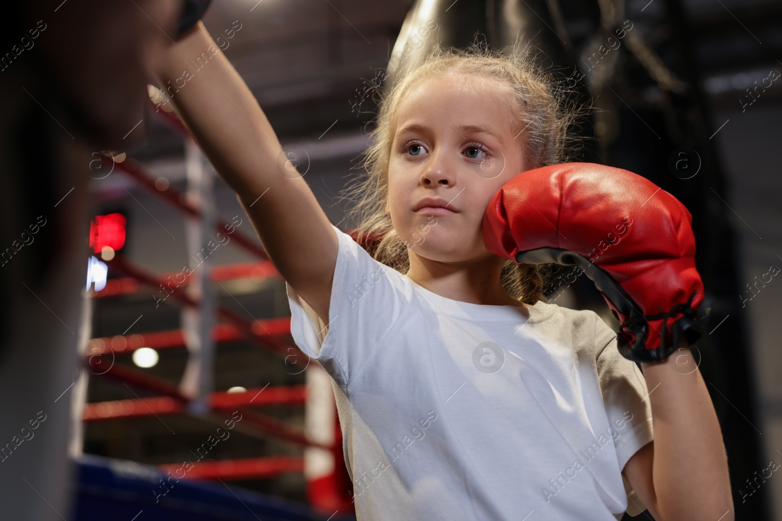 Photo of Girl in protective gloves having boxing practice indoors