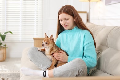 Photo of Teenage girl with her cute Chihuahua dog on sofa at home