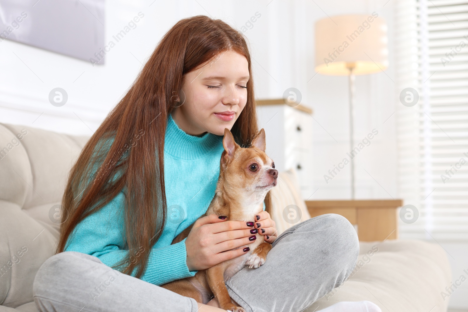 Photo of Teenage girl with her cute Chihuahua dog on sofa at home