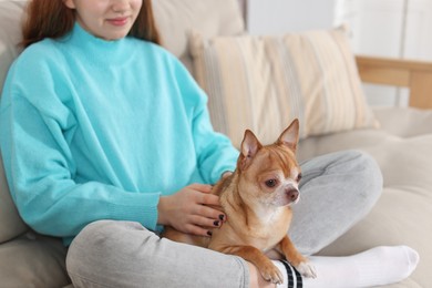 Photo of Teenage girl with her cute Chihuahua dog on sofa at home, closeup