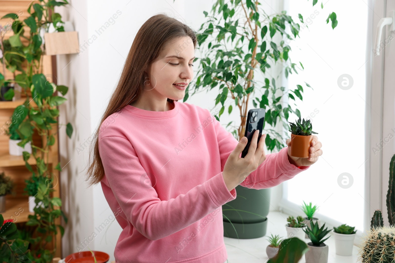 Photo of Woman using houseplant recognition application on smartphone indoors