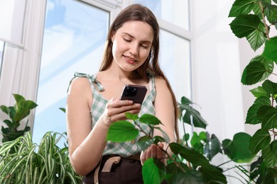 Photo of Woman using houseplant recognition application on smartphone indoors