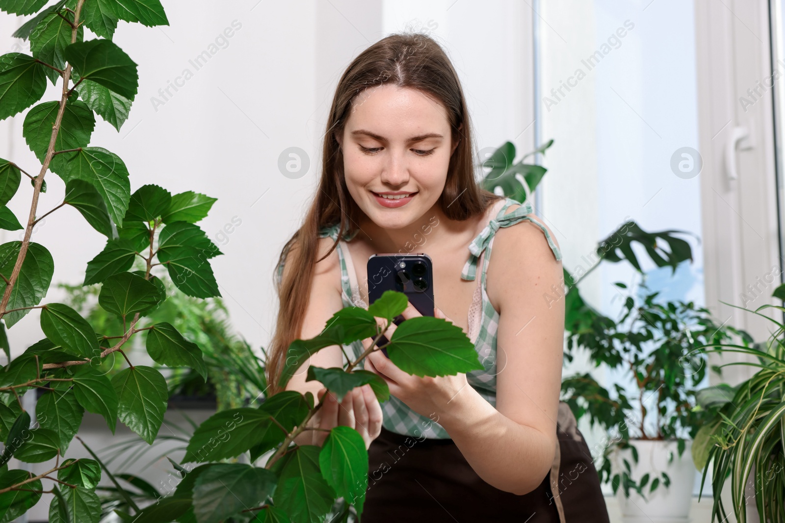 Photo of Woman using houseplant recognition application on smartphone indoors