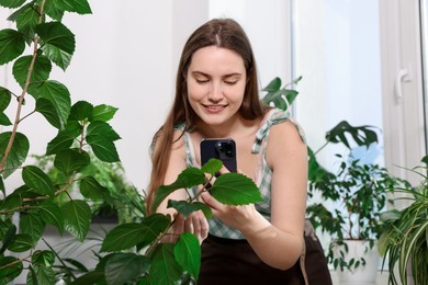 Photo of Woman using houseplant recognition application on smartphone indoors