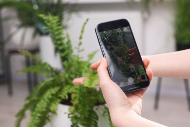 Photo of Woman using houseplant recognition application on smartphone indoors, closeup