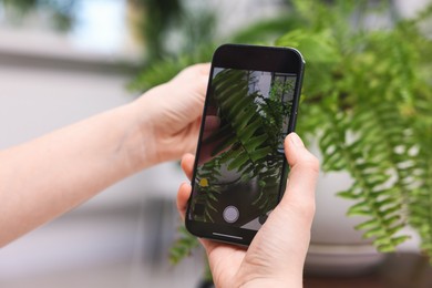 Photo of Woman using houseplant recognition application on smartphone indoors, closeup