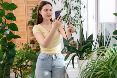 Photo of Woman using houseplant recognition application on smartphone indoors