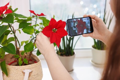 Photo of Woman using houseplant recognition application on smartphone at window sill indoors, closeup