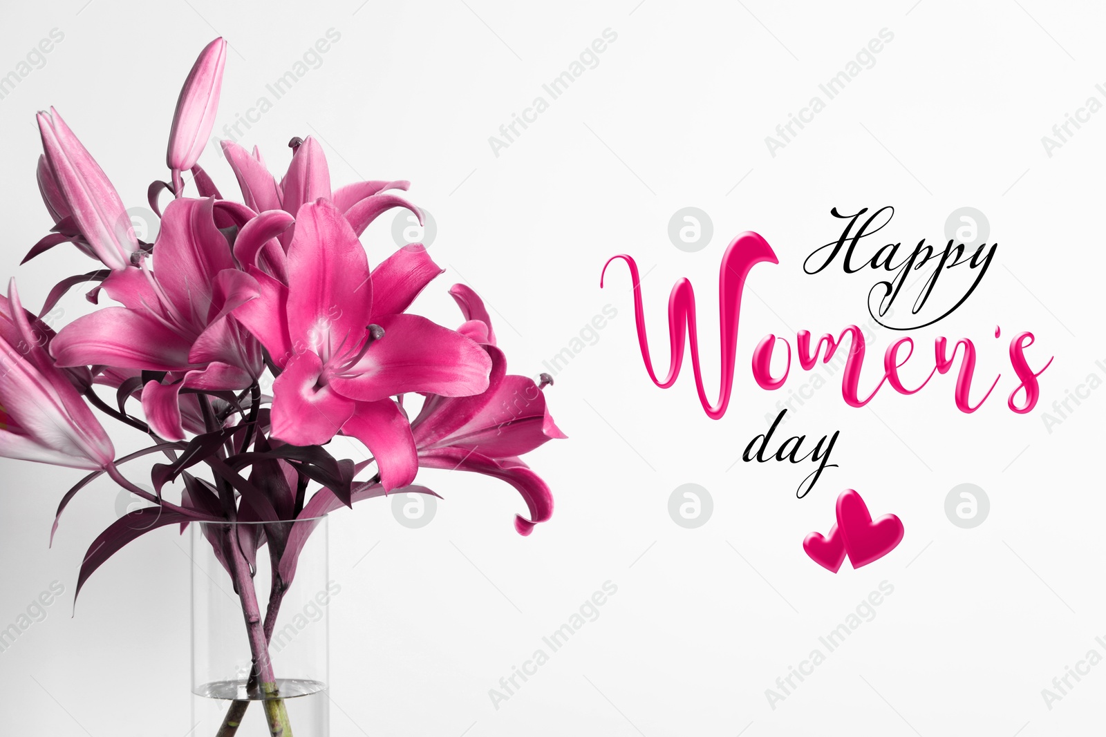 Image of Happy Women's day card. Bright pink lilies in glass vase on white background