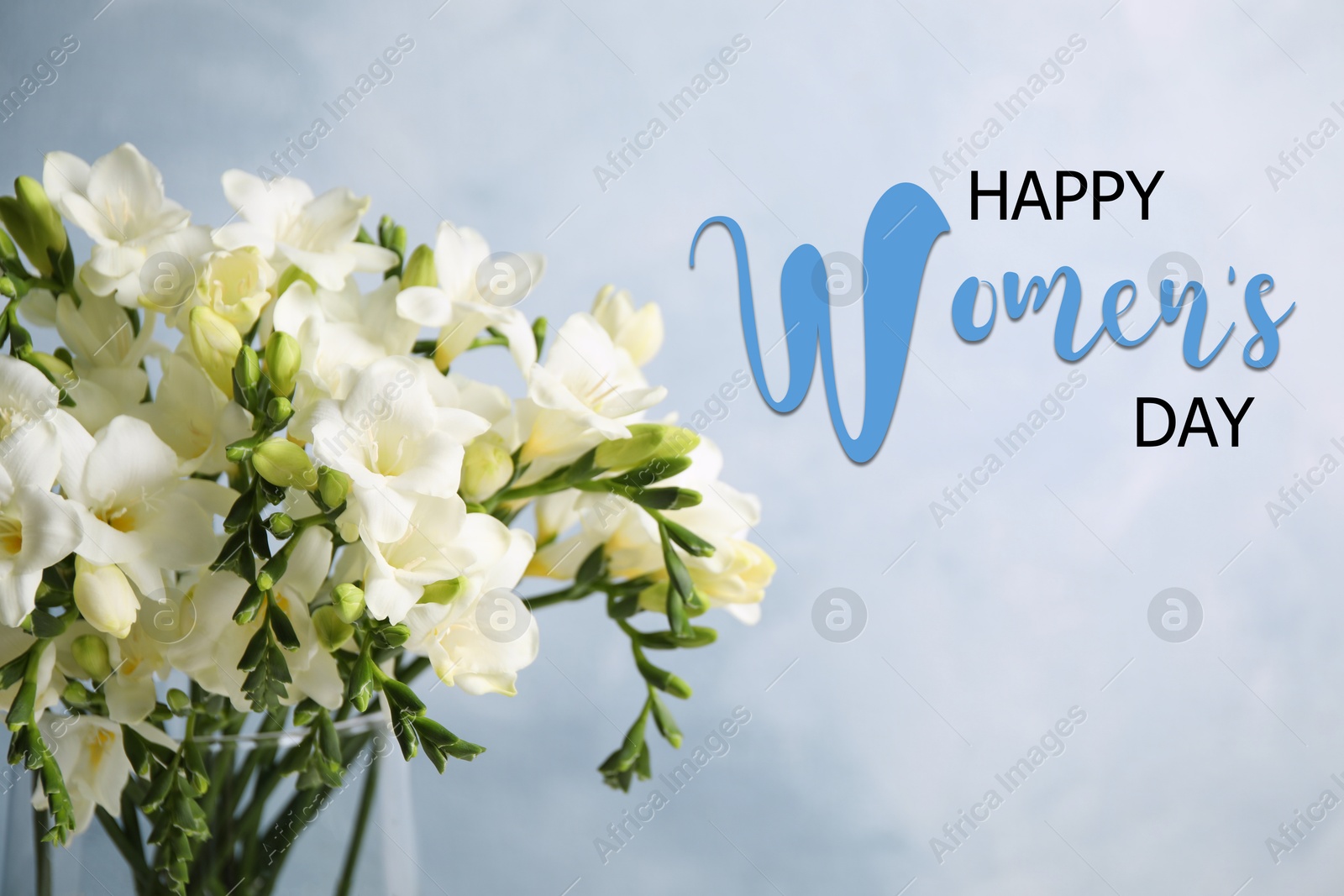 Image of Happy Women's day card. Beautiful white freesia flowers in vase on light blue background