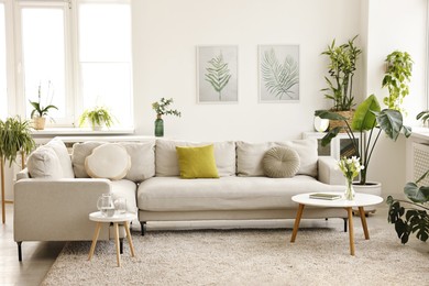 Photo of Feng shui. Stylish room with comfortable couch and houseplants