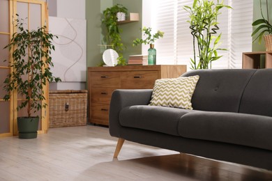 Photo of Feng shui. Stylish room with comfortable couch and houseplants