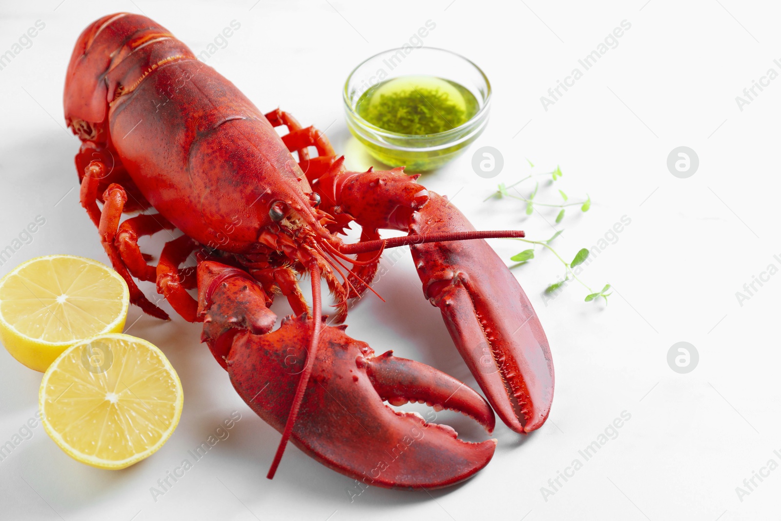 Delicious boiled lobster with oil, microgreens and lemon pieces on white table, closeup Photo of Delicious boiled lobster with oil, microgreens and lemon pieces on white table, closeup