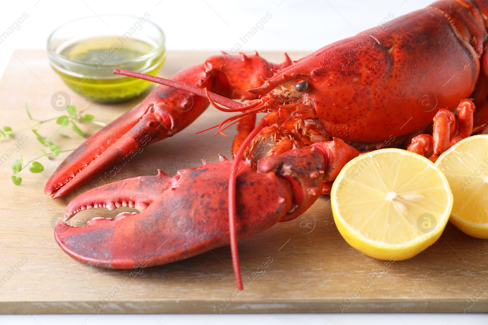 Photo of Delicious boiled lobster with oil, microgreens and lemon pieces on white table, closeup