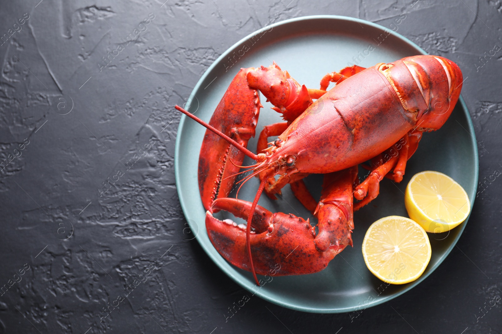 Photo of Delicious boiled lobster with lemon pieces on black table, top view. Space for text