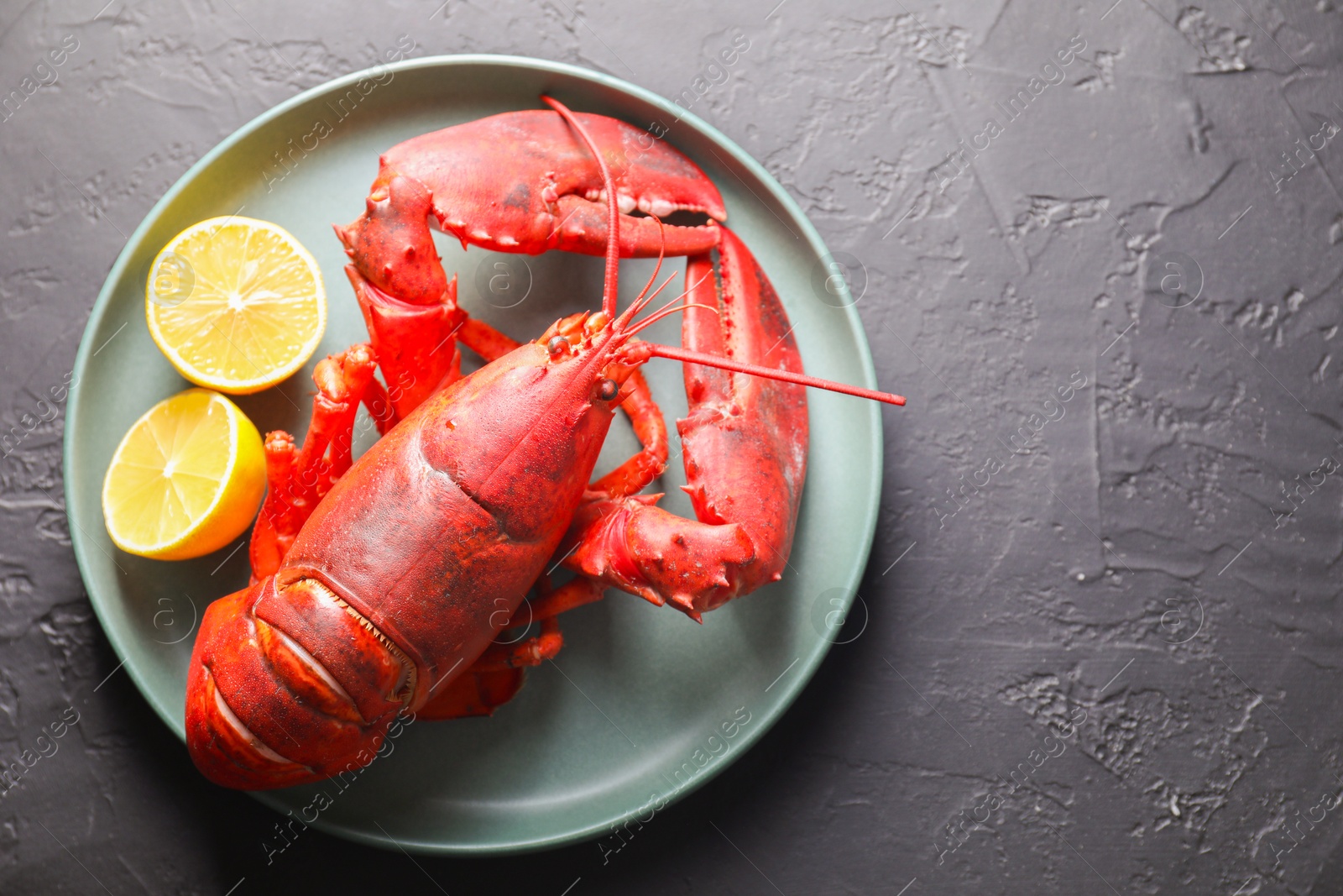 Photo of Delicious boiled lobster with lemon pieces on black table, top view. Space for text