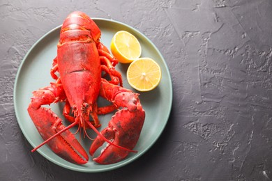 Photo of Delicious boiled lobster with lemon pieces on black table, top view. Space for text