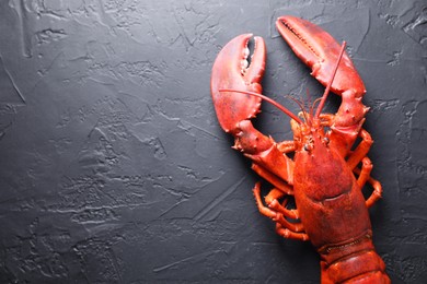 Photo of Delicious boiled lobster on black table, top view. Space for text