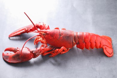 Photo of Delicious boiled lobster on grey table, closeup