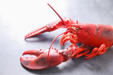 Photo of Delicious boiled lobster on grey table, closeup