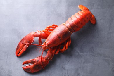 Photo of Delicious boiled lobster on grey table, top view