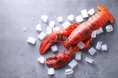 Photo of Delicious boiled lobster with ice cubes on grey table, flat lay