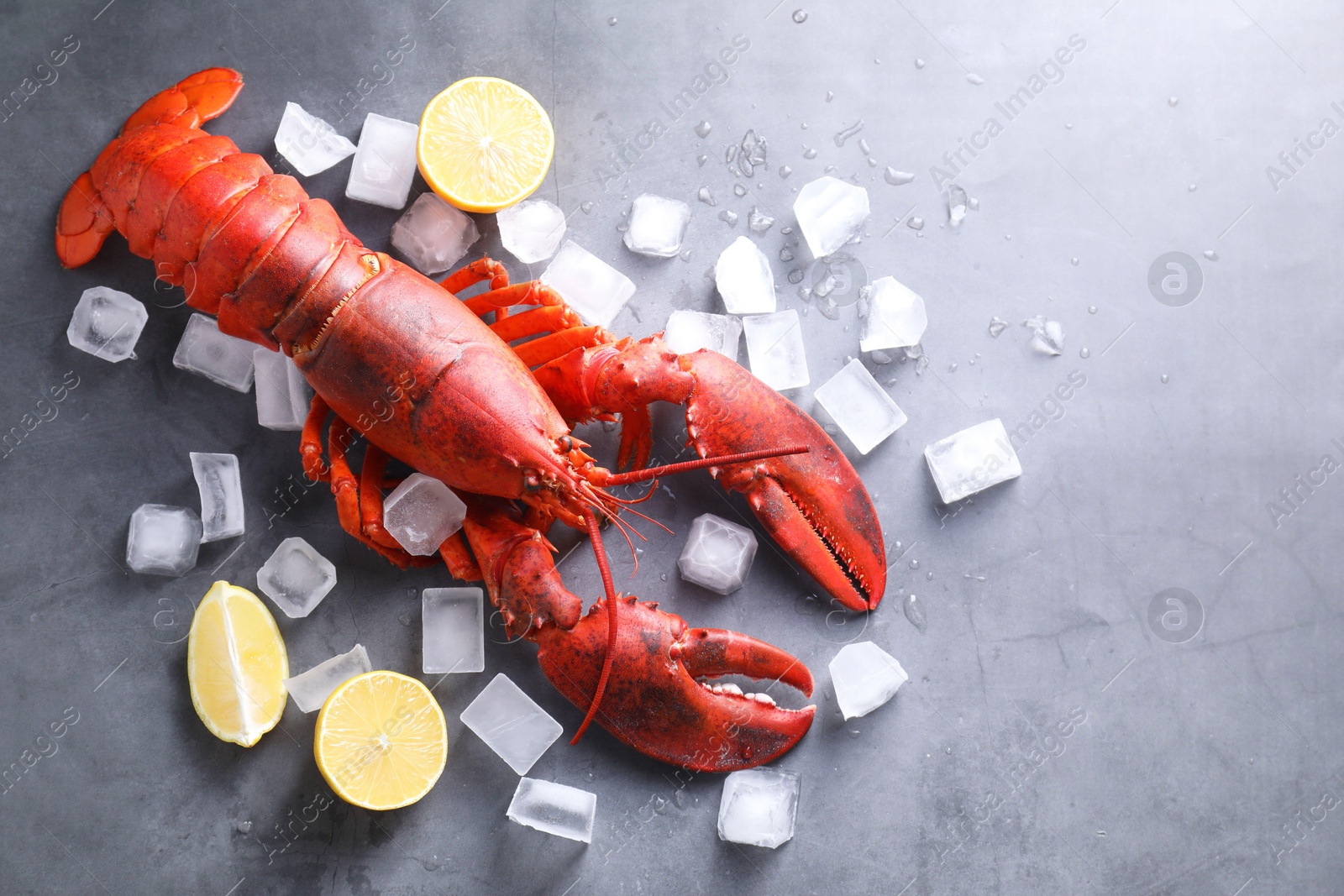 Photo of Delicious boiled lobster with ice cubes and lemon pieces on grey table, flat lay