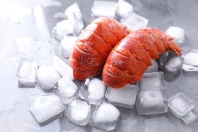 Photo of Tails of boiled lobsters with ice cubes on grey table, closeup