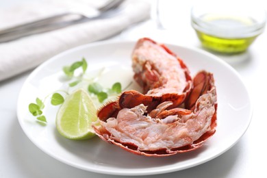 Photo of Delicious boiled lobster served on white table, closeup