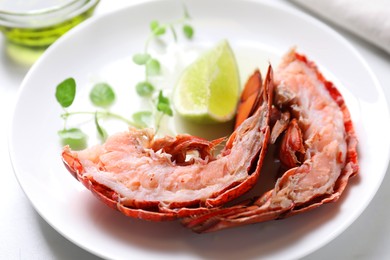 Photo of Delicious boiled lobster served on white table, closeup