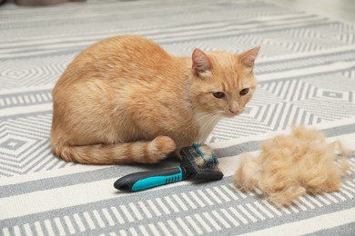 Cute ginger cat, brush and pile of pet's hair on floor