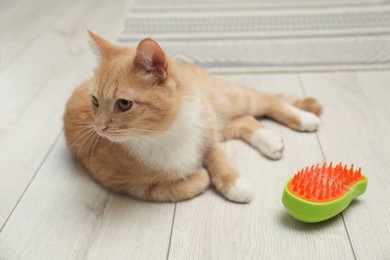 Photo of Cute ginger cat and brush with pet's hair on floor