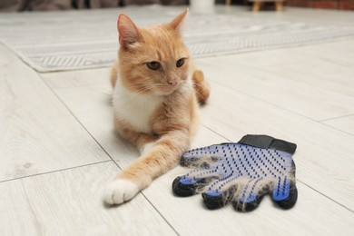 Photo of Cute ginger cat and grooming glove with pet's hair on floor