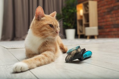 Photo of Cute ginger cat and brush with pet's hair on floor at home, closeup