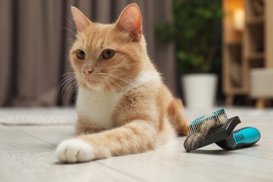 Cute ginger cat and brush with pet's hair on floor at home, closeup