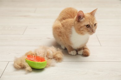 Photo of Cute ginger cat, brush and pile of pet's hair on floor