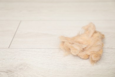 Photo of Pile of pet's hair on wooden floor, closeup. Space for text