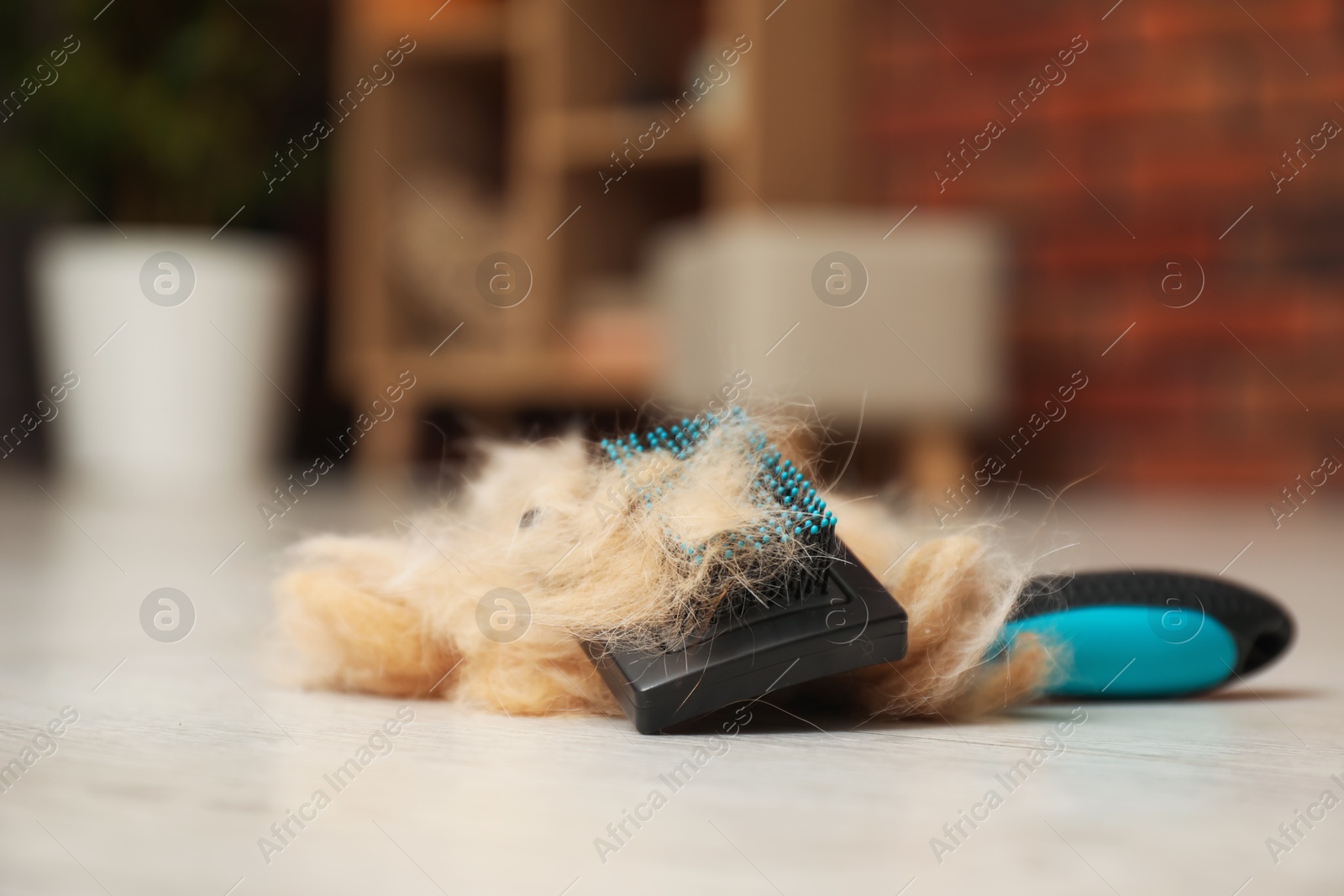 Photo of Grooming brush and pile of pet's hair on floor indoors, closeup