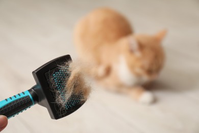 Woman holding brush with pet's hair and cat indoors, selective focus