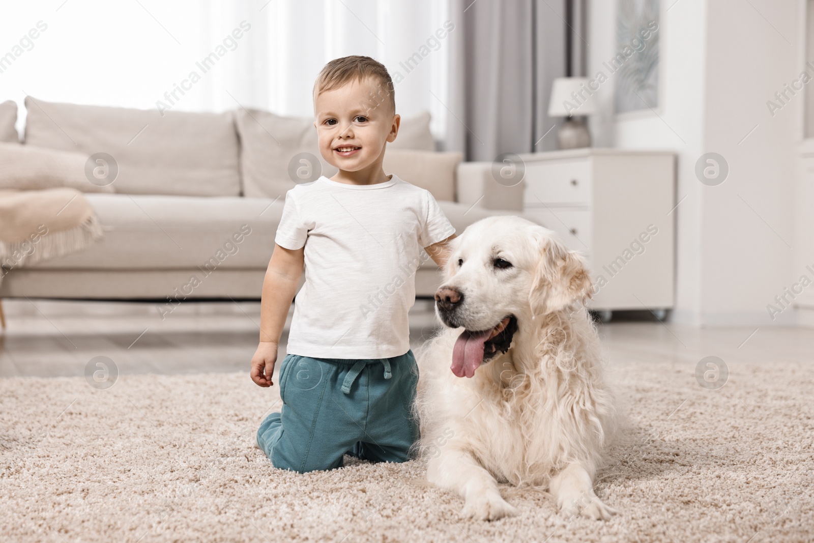 Photo of Happy little boy with cute dog on carpet at home