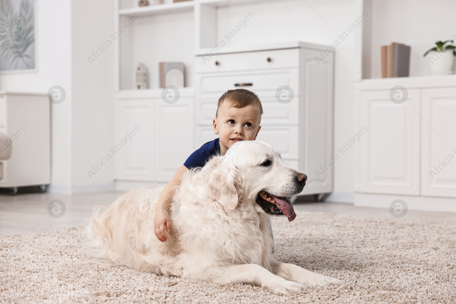 Photo of Little boy with cute dog on carpet at home